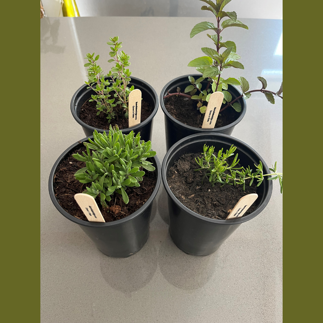 Herb  bundle with Lavender