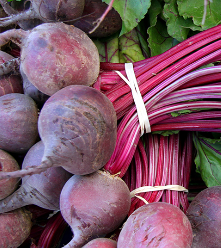 Beetroot - per bunch