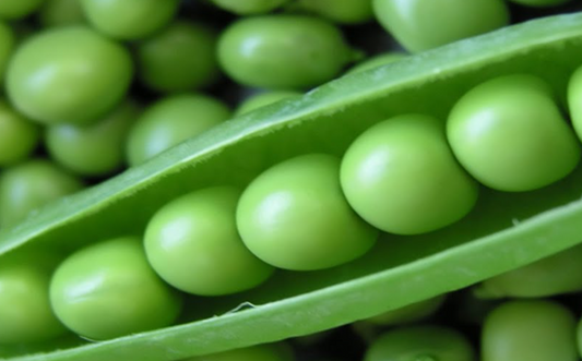 Pea in pods